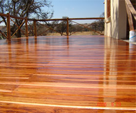 Home Improvement How To Prevent Termite Damage On A Wood Deck